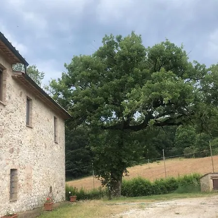 Podere Delle Querce * Montecastrilli
