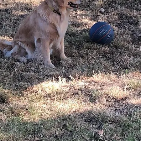 カントリーハウス Podere Delle Querce Montecastrilli