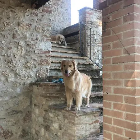 Kır Evi Podere Delle Querce