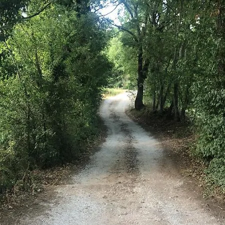 Podere Delle Querce Kır Evi