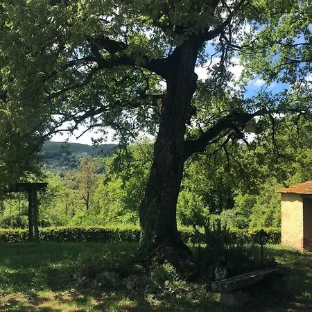 Podere Delle Querce カントリーハウス